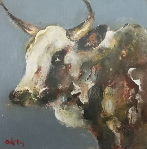 Nguni study 1