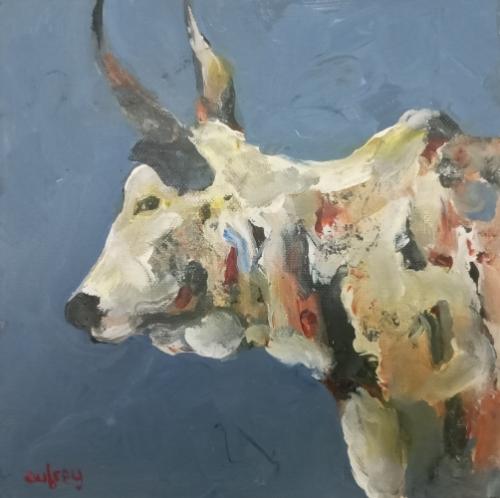 Nguni study 2